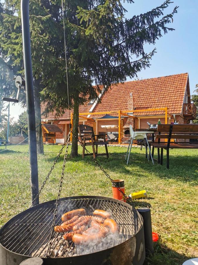 Agroturystyka Ginkgo Sulislaw  Kültér fotó